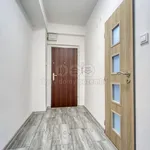 Rent 2 bedroom apartment of 50 m² in Plzeň