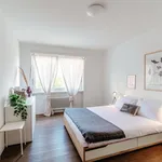 Via Antonio Monti, Balerna - Amsterdam Apartments for Rent