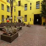 Miete 1 Schlafzimmer wohnung von 30 m² in berlin