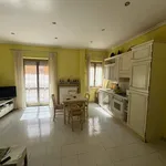 Rent 2 bedroom apartment of 70 m² in Roma