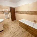 Rent 1 bedroom apartment in Jihlava