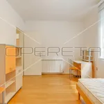 Rent 4 bedroom apartment of 218 m² in Zagreb