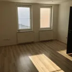 Rent 1 bedroom apartment in Ostrava