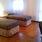 Rent 1 bedroom apartment in padova