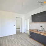 Rent 2 bedroom apartment of 50 m² in Ústí nad Labem