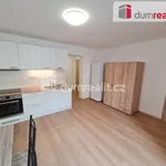 Rent 2 bedroom apartment of 34 m² in Prague