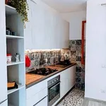 Rent 3 bedroom apartment of 65 m² in Pisa