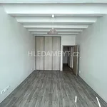 Rent 4 bedroom apartment of 109 m² in Capital City of Prague