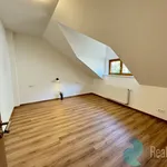 Pronajměte si 4 ložnic/e byt o rozloze 115 m² v České Budějovice