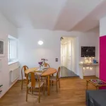 Rent 1 bedroom apartment of 50 m² in rome