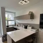 Rent 1 bedroom apartment of 34 m² in munich