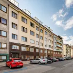 Rent 1 bedroom apartment of 28 m² in Prague