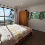 Rent 1 bedroom apartment in Auckland