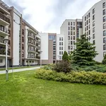 Rent 1 bedroom apartment of 39 m² in Łódź