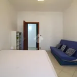 Rent 3 bedroom apartment of 80 m² in Brindisi