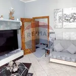 Rent 3 bedroom apartment of 88 m² in Monza