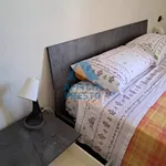 Rent 1 bedroom house of 12 m² in Pisa