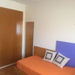 Rent a room in alicante