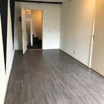 Huur 1 slaapkamer appartement van 25 m² in Binnenstad-Zuid