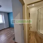 Rent 1 bedroom apartment in České Budějovice