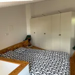 Rent 1 bedroom apartment in Porto