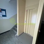 Rent 3 bedroom apartment in Vsetín