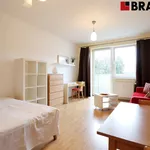 Rent 1 bedroom apartment of 38 m² in Brno