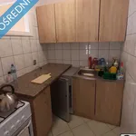 Rent 1 bedroom apartment of 25 m² in Poznan