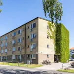 Rent 1 rooms apartment of 33 m² in Sandviken