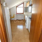 Rent 3 bedroom apartment of 65 m² in Alba