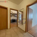 Rent 2 bedroom apartment of 53 m² in Brno-Žebětín