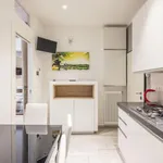 Rent 1 bedroom apartment in Bologna