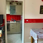 Rent 1 bedroom apartment of 45 m² in Milano