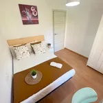 Alquilar 4 dormitorio apartamento en Valencia