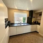 Rent 3 bedroom house of 200 m² in twente