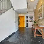 Rent 2 bedroom apartment of 80 m² in 's-Gravenhage