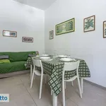 Rent 3 bedroom apartment of 65 m² in Cagliari