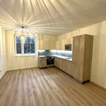 Rent 3 bedroom apartment of 51 m² in Liberec