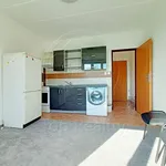 Rent 1 bedroom apartment in Sokolov