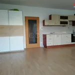 Rent 1 bedroom apartment in Praha 10