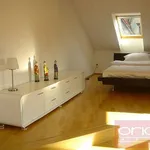 Rent 5 bedroom apartment of 200 m² in Prague