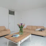 Rent 3 bedroom apartment of 76 m² in Banne Buiksloot