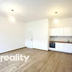 Rent 1 bedroom apartment in Praha 3