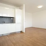 Pronajměte si 3 ložnic/e byt o rozloze 61 m² v vrsovice