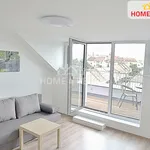 Rent 1 bedroom apartment of 45 m² in Brno