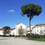 Affitto 2 camera appartamento di 50 m² in Firenze