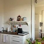 Rent 2 bedroom apartment of 45 m² in Torino