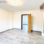 Rent 3 bedroom apartment of 66 m² in Ústí nad Labem