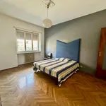 Rent 1 bedroom apartment of 65 m² in Torino