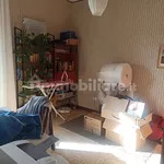 Rent 3 bedroom apartment of 85 m² in Pisa